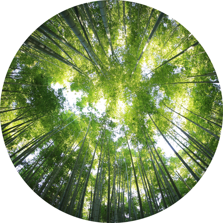 net zero - trees